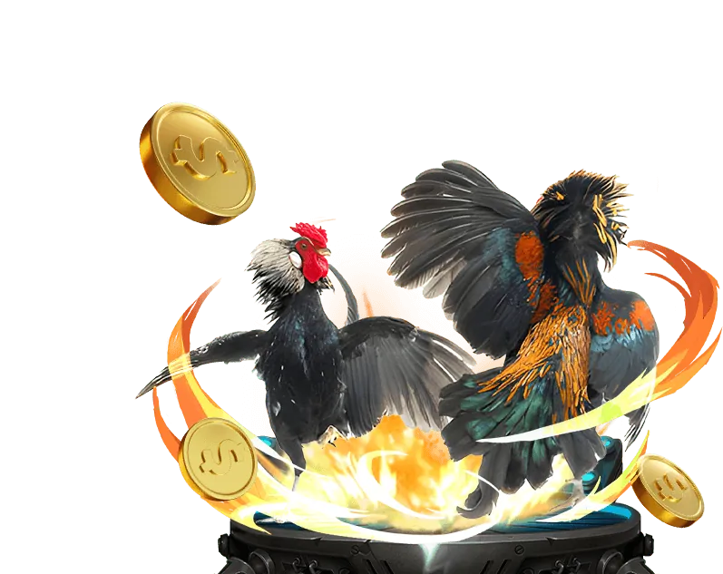 Nền tảng đá gà VN138 an toàn và bảo mật