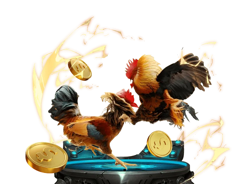 Tỷ lệ cược đá gà VN138 hấp dẫn